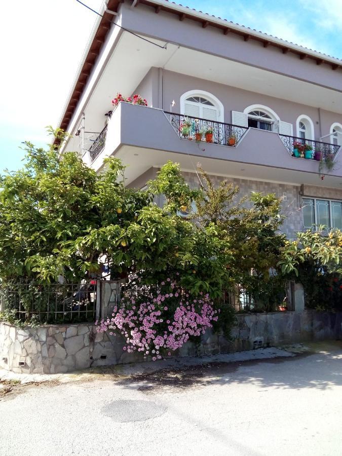 Vonitsa Loft Apartment 1 Luaran gambar